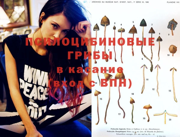 скорость Ельня