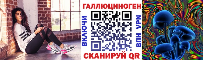 купить наркотики сайты  MEGA ССЫЛКА  Псилоцибиновые грибы Psilocybine cubensis  Аксай 