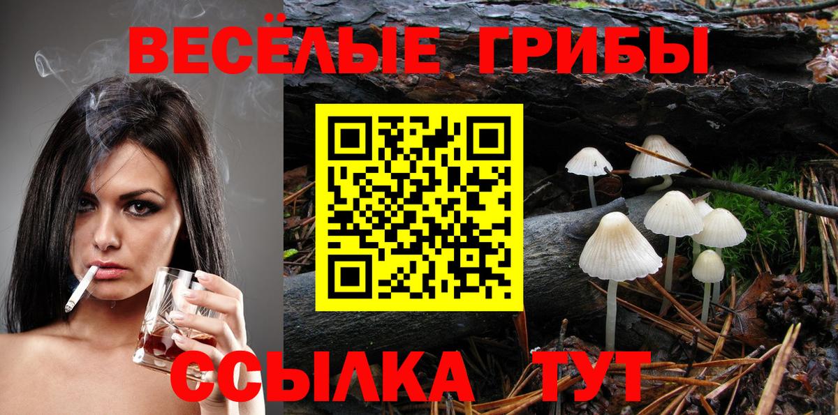 Галлюциногенные грибы мицелий Аксай