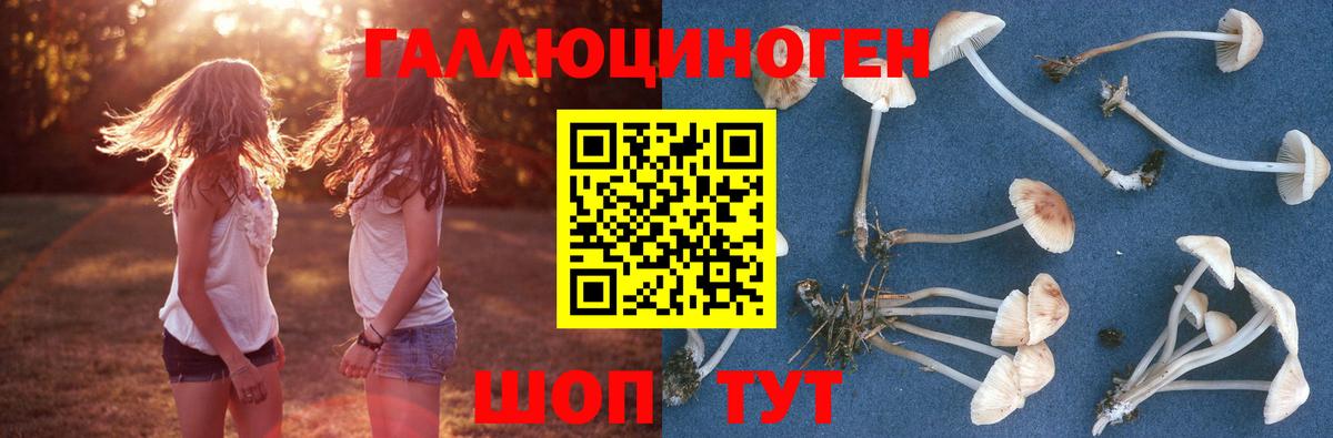 Аксай  Галлюциногенные грибы MAGIC MUSHROOMS  Вход с VPN  Псилоцибиновые грибы GOLDEN TEACHER 