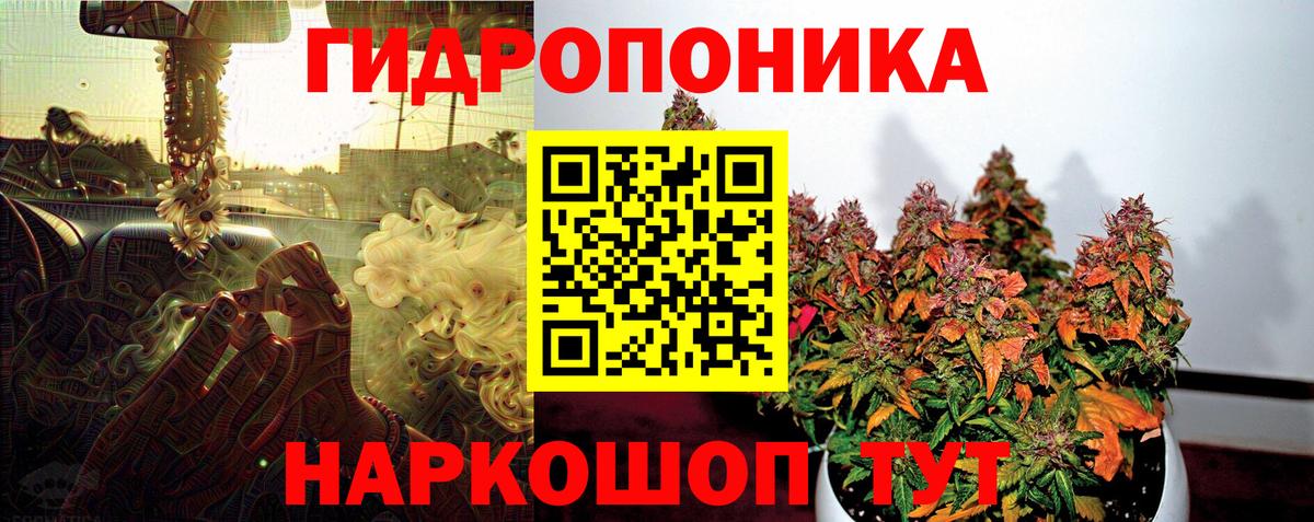 Аксай  Конопля THC 21%  Вход с VPN  Канабис индика 